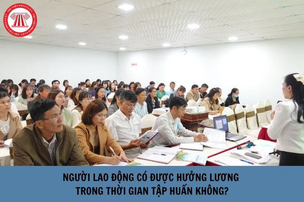 Người lao động có được hưởng lương trong thời gian tập huấn không?