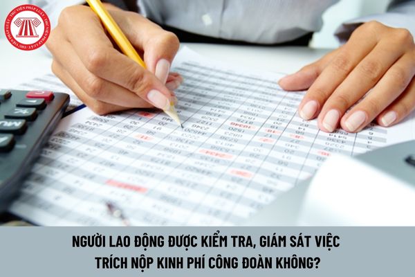  Người lao động được kiểm tra, giám sát việc trích nộp kinh phí công đoàn không?