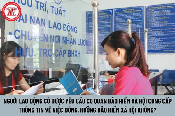 Người lao động có được yêu cầu cơ quan bảo hiểm xã hội cung cấp thông tin về việc đóng, hưởng bảo hiểm xã hội không?