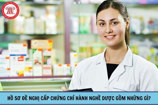 Hồ sơ đề nghị cấp Chứng chỉ hành nghề dược gồm những gì?