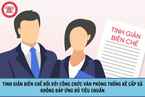 Khi nào thực hiện tinh giản biên chế đối với công chức Văn phòng thống kê cấp xã không đáp ứng đủ tiêu chuẩn?