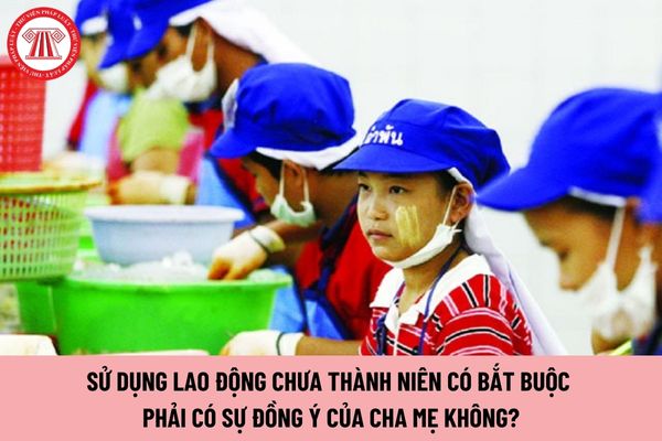 Sử dụng lao động chưa thành niên có bắt buộc phải có sự đồng ý của cha mẹ không?