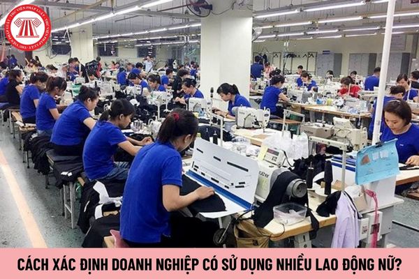 Cách xác định doanh nghiệp có sử dụng nhiều lao động nữ?