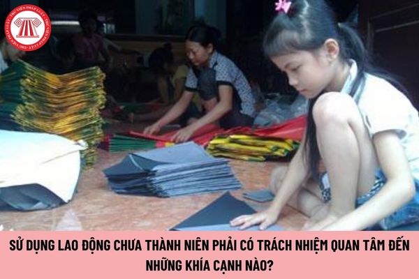 Sử dụng lao động chưa thành niên phải có trách nhiệm quan tâm đến những khía cạnh nào?