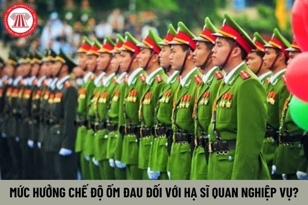 Mức hưởng chế độ ốm đau đối với hạ sĩ quan nghiệp vụ là bao nhiêu?