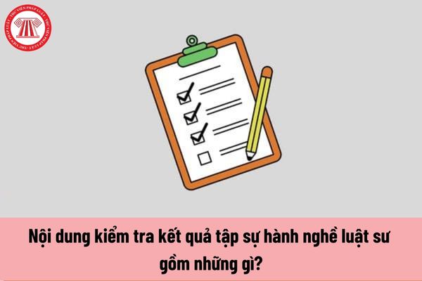 Nội dung kiểm tra kết quả tập sự hành nghề luật sư gồm những gì?