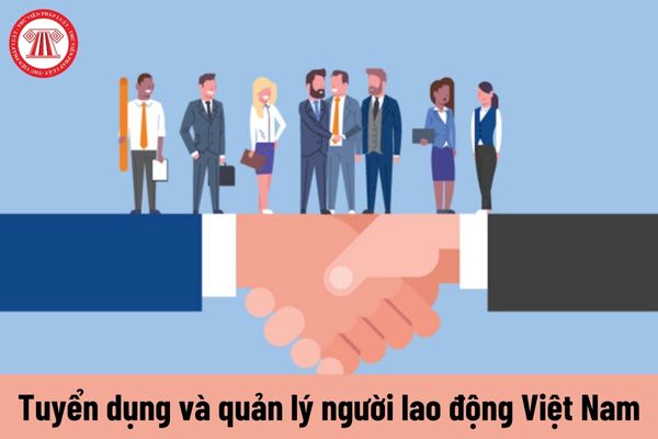 Mẫu báo cáo tình hình tuyển dụng, quản lý người lao động Việt Nam làm việc cho tổ chức nước ngoài tại Việt Nam mới nhất?