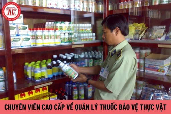 Chuyên viên cao cấp về quản lý thuốc bảo vệ thực vật yêu cầu bằng cấp gì?