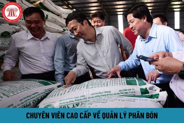 Chuyên viên cao cấp về quản lý phân bón yêu cầu kinh nghiệm ra sao?