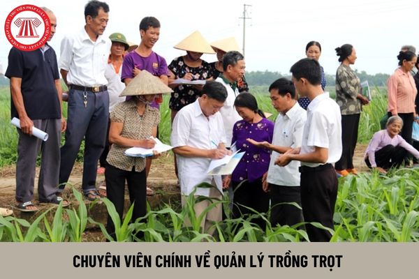 Chuyên viên chính về quản lý trồng trọt yêu cầu bao nhiêu năm kinh nghiệm?