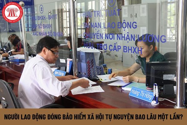 Người lao động đóng bảo hiểm xã hội tự nguyện bao lâu một lần?