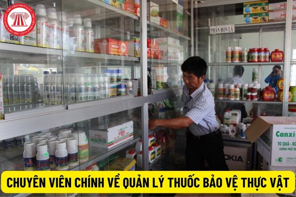 Chuyên viên chính về quản lý thuốc bảo vệ thực vật yêu cầu bao nhiêu năm kinh nghiệm?