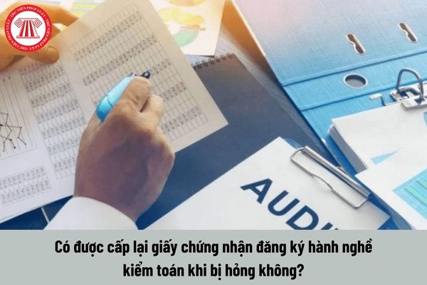 Có được cấp lại giấy chứng nhận đăng ký hành nghề kiểm toán khi bị hỏng không?