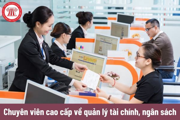 Chuyên viên cao cấp về quản lý tài chính, ngân sách phải có bằng cấp gì?