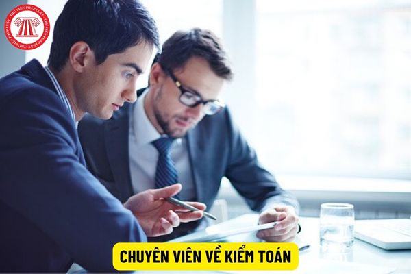 Chuyên viên về kiểm toán có năng lực ra sao?