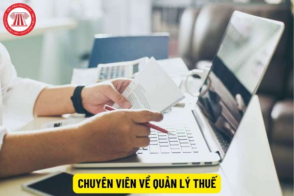 Phải có trình độ gì mới được làm Chuyên viên về Quản lý thuế?