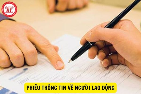 Mẫu phiếu thông tin về người lao động mới nhất hiện nay là mẫu nào?