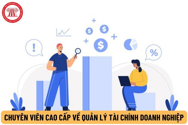 Chuyên viên cao cấp về quản lý tài chính doanh nghiệp phải có trình độ gì?