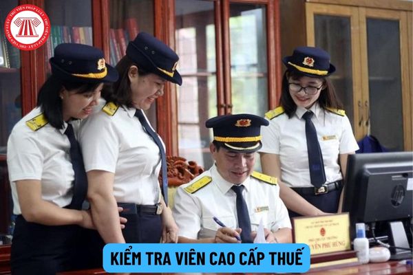 Kiểm tra viên cao cấp thuế phải có trình độ ra sao?