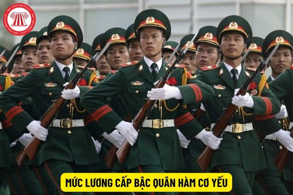 Mức lương cấp bậc quân hàm cơ yếu từ ngày 1/7/2024 theo Nghị quyết 27 thay đổi như thế nào?