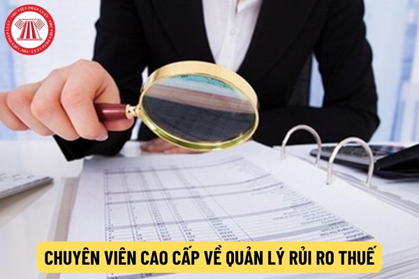 Chuyên viên cao cấp về quản lý rủi ro thuế phải có kinh nghiệm như thế nào?