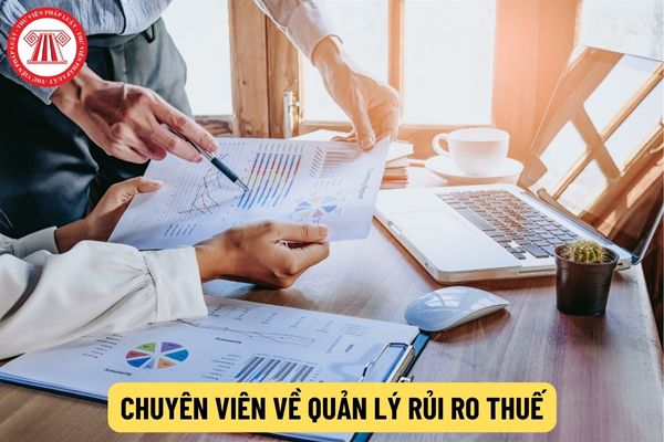 Chuyên viên về quản lý rủi ro thuế có các mối quan hệ trong công việc ra sao?