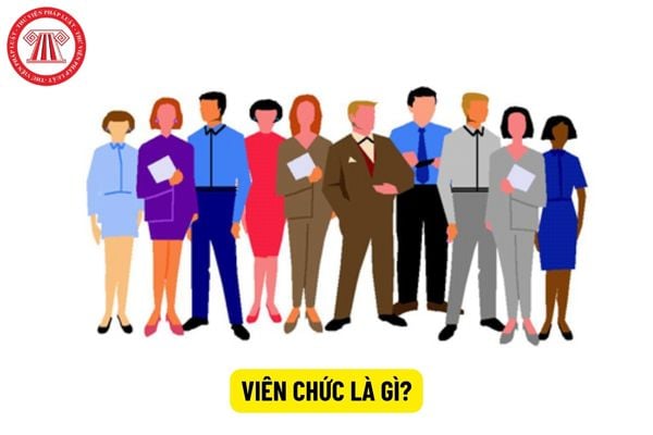 Viên chức là gì? Có mấy loại viên chức?