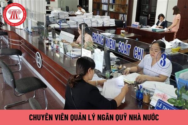 Chuyên viên quản lý ngân quỹ nhà nước có quyền hạn gì?