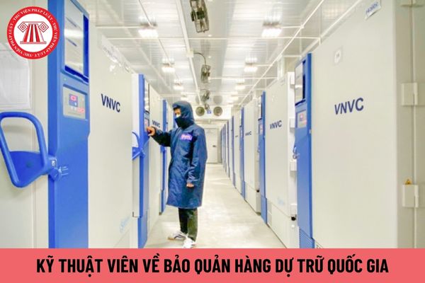 Kỹ thuật viên về bảo quản hàng dự trữ quốc gia yêu cầu phải có năng lực như thế nào?