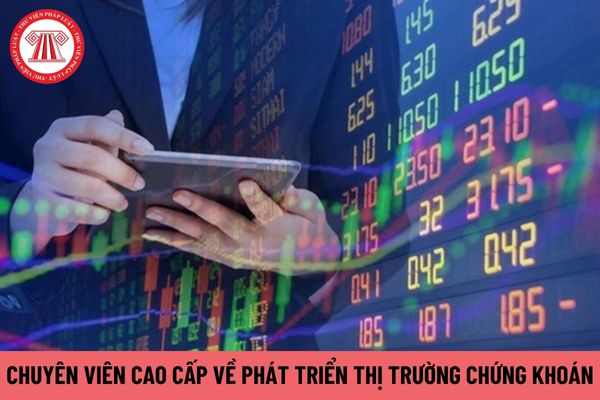 Chuyên viên cao cấp về phát triển thị trường chứng khoán phải có kinh nghiệm như thế nào?