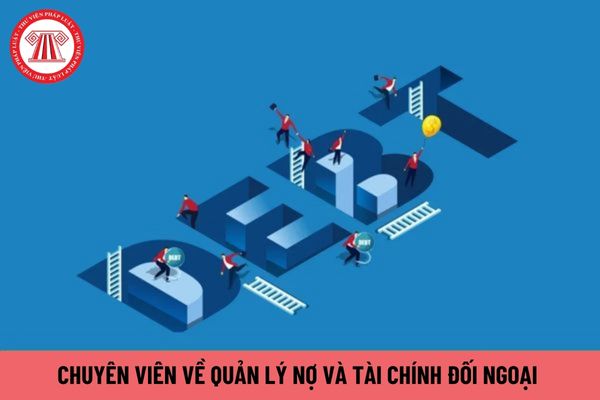 Chuyên viên về quản lý nợ và tài chính đối ngoại có quyền hạn gì?