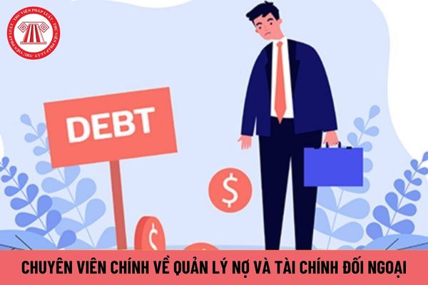 Chuyên viên chính về quản lý nợ và tài chính đối ngoại phải có năng lực như thế nào?