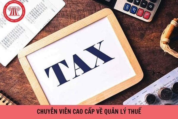 Chuyên viên cao cấp về quản lý thuế phải có trình độ đào tạo như thế nào?