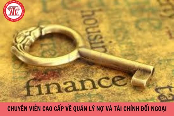 Chuyên viên cao cấp về quản lý nợ và tài chính đối ngoại yêu cầu gì về trình độ?