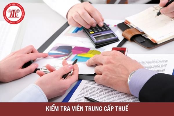 Kiểm tra viên trung cấp thuế phải có trình độ như thế nào?