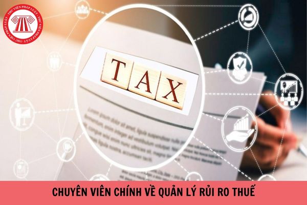 Yêu cầu về kinh nghiệm đối với Chuyên viên chính về quản lý rủi ro thuế là gì?