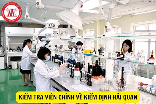 Kiểm tra viên chính về kiểm định hải quan có quyền hạn gì?