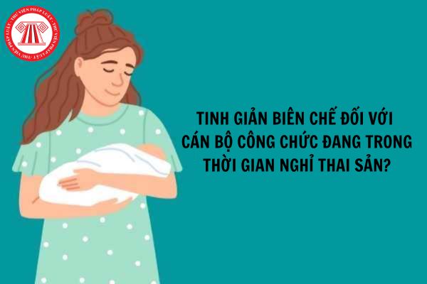 Nghị định 29 có tinh giản biên chế đối với cán bộ công chức đang trong thời gian nghỉ thai sản không?