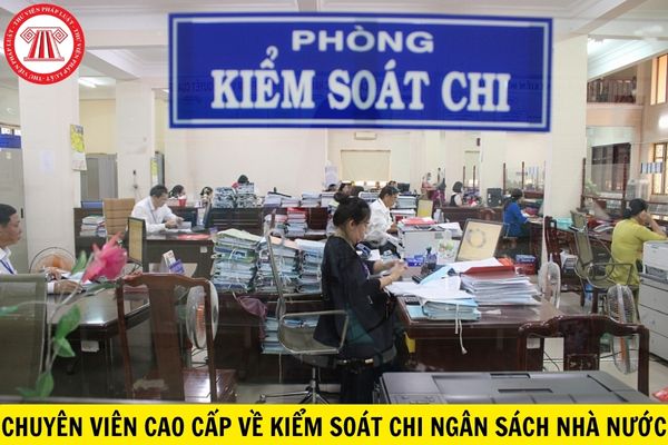 Chuyên viên cao cấp về kiểm soát chi ngân sách nhà nước phải thực hiện những công việc gì?