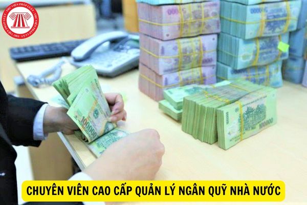 Phải có trình độ thế nào mới được làm chuyên viên cao cấp quản lý ngân quỹ nhà nước?