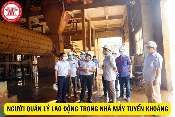 Người quản lý lao động trong nhà máy tuyển khoáng phải đáp ứng yêu cầu gì?