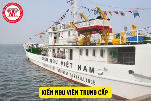 Kiểm ngư viên trung cấp có năng lực như thế nào?