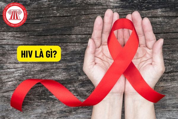 Bệnh HIV là gì? Xác định người lao động bị nhiễm HIV do tai nạn rủi ro nghề nghiệp như thế nào?