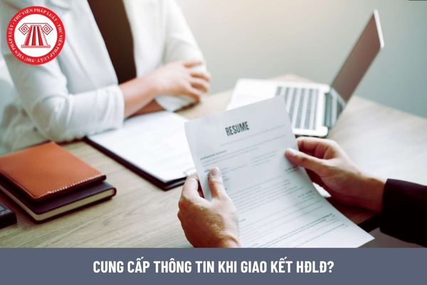 Người lao động phải cung cấp tất cả các thông tin mà công ty yêu cầu đúng không?