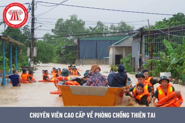 Chuyên viên cao cấp về phòng chống thiên tai yêu cầu có trình độ đào tạo như thế nào?