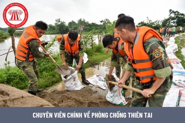 Chuyên viên chính về phòng chống thiên tai có được hưởng quyền lợi gì không?