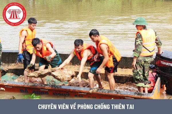 Tiêu chuẩn về năng lực đối với chuyên viên về phòng chống thiên tai là gì?