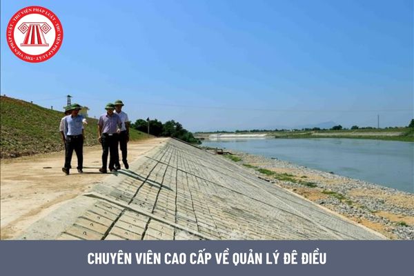 Chuyên viên cao cấp về quản lý đê điều yêu cầu kinh nghiệm như thế nào?