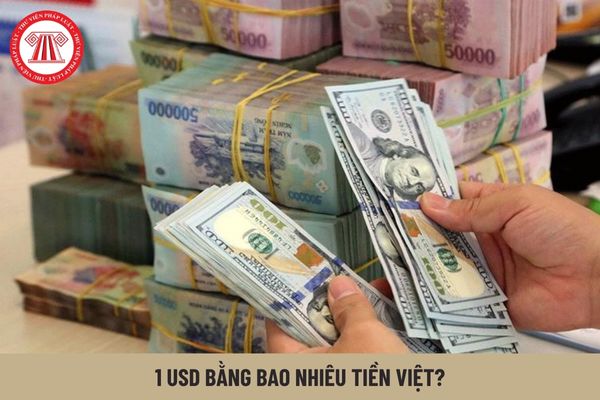 1 USD bằng bao nhiêu tiền Việt? Người lao động Việt Nam được nhận lương bằng tiền USD không?