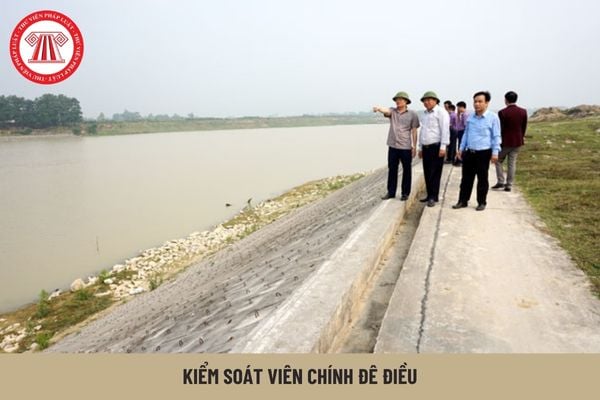 Tiêu chuẩn về năng lực đối với kiểm soát viên chính đê điều là gì?